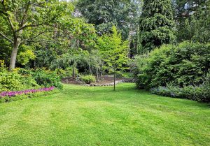 Optimiser l'expérience du jardin à Saint-Martin-sous-Montaigu