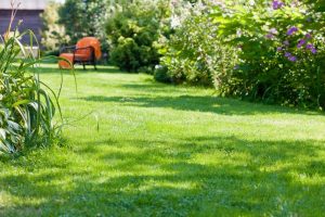 travaux jardin et paysage Saint-Martin-sous-Montaigu